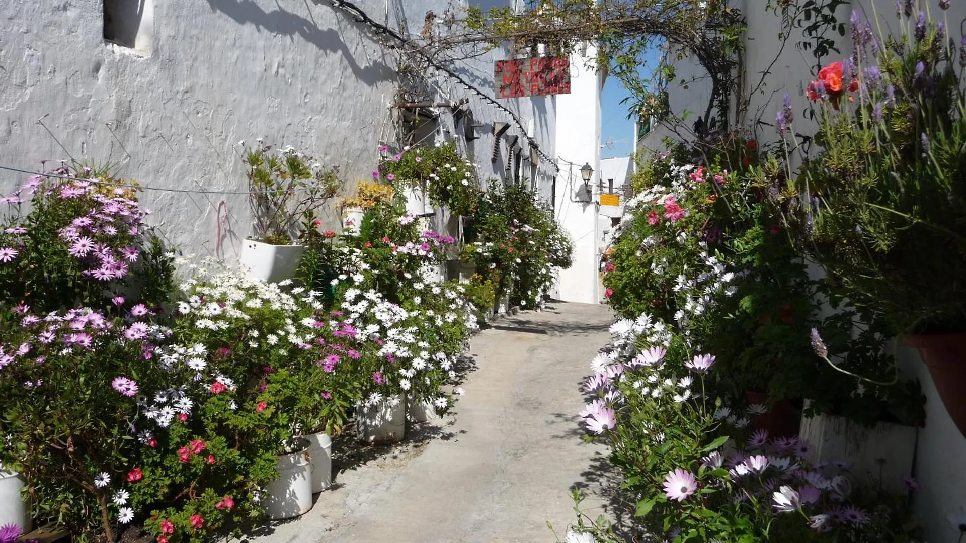 וחר דה לה פרונטרה Vivienda Turistica De Alojamiento Rural Silla Vieja ספרד